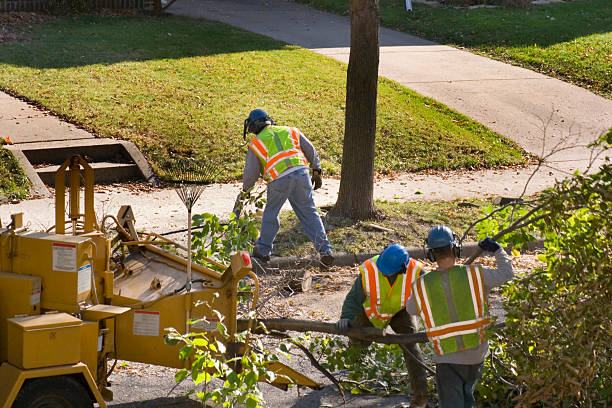 Lawn Drainage Solutions in Petoskey, MI